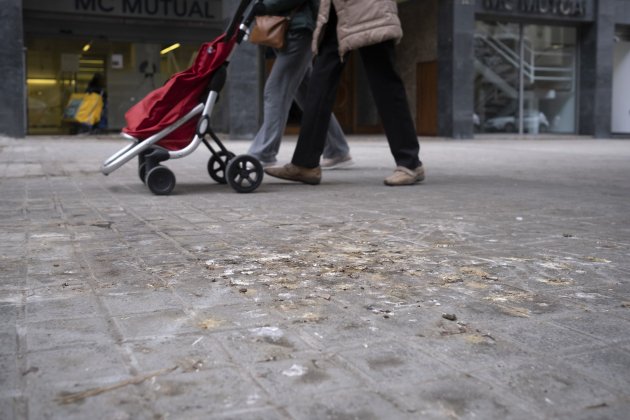 Excrements Barcelona aus ocells / Foto: Carlos Baglietto