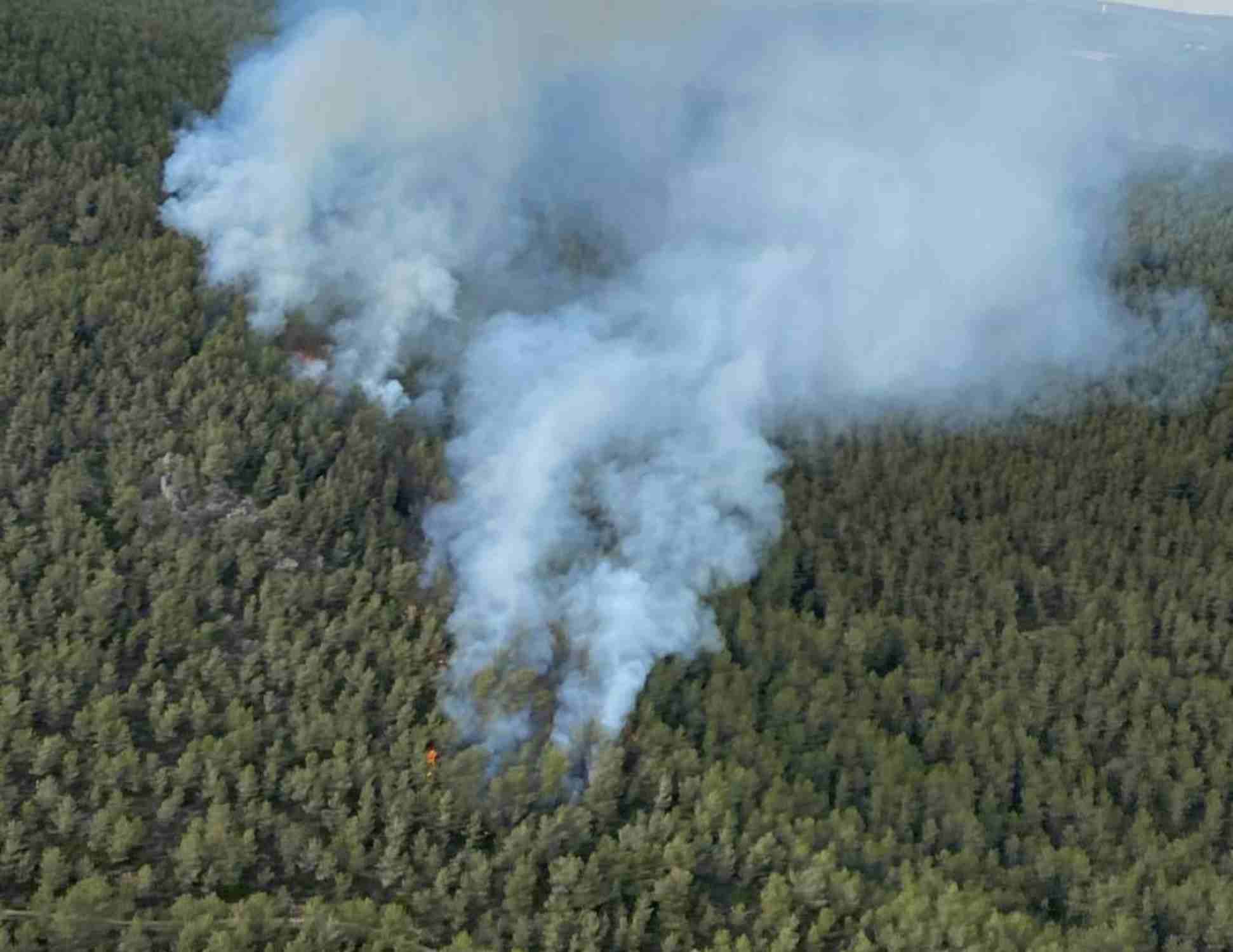 Incendi al Montmell: foc estabilitzat en una zona forestal del Baix Penedès