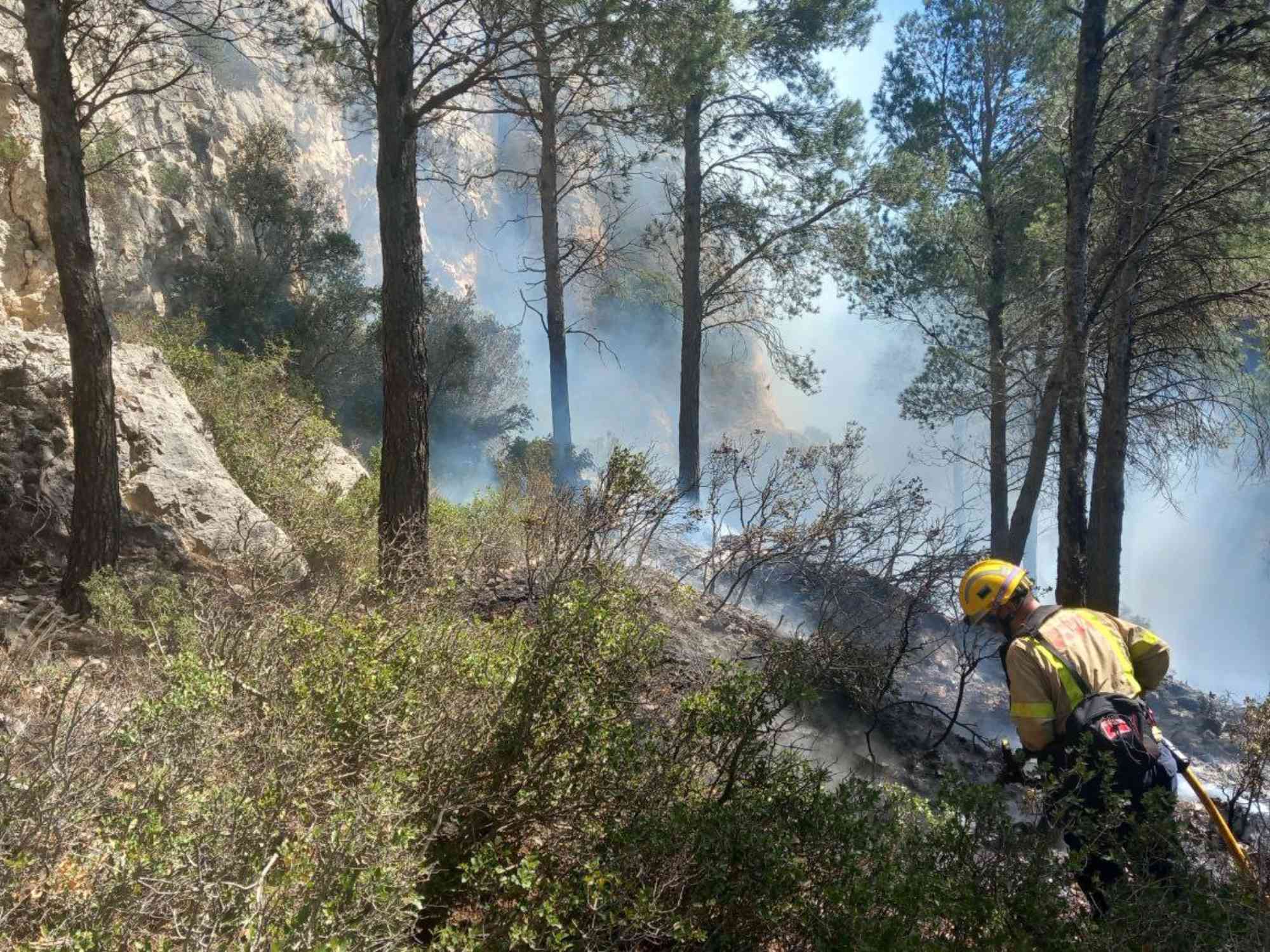 Incendi a Gandesa: els Bombers estabilitzen el foc i eviten que s'estengui pel bosc