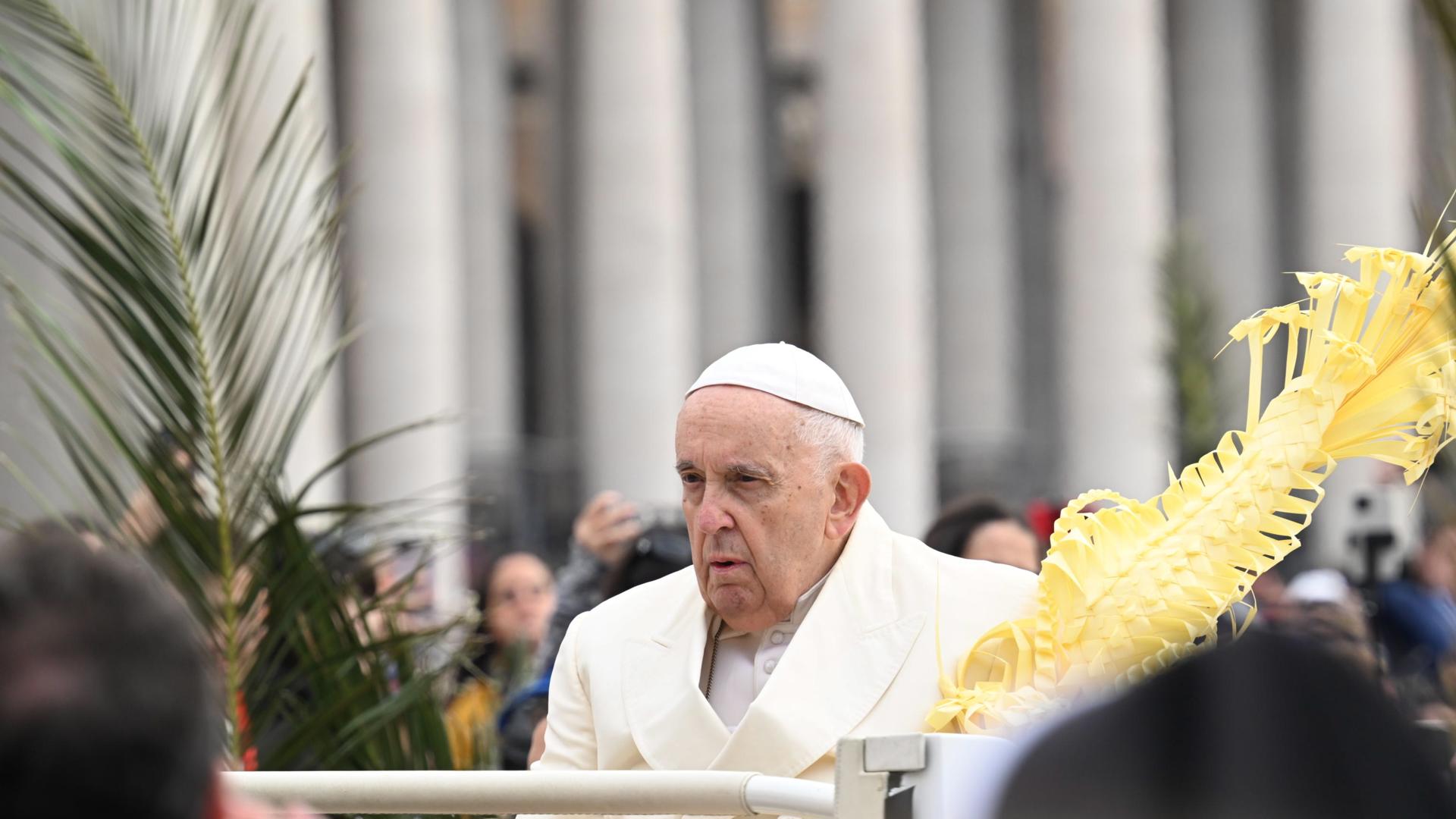 Papa Francesc diumenge de Rams palma Papa Francesc diumenge de Rams palma