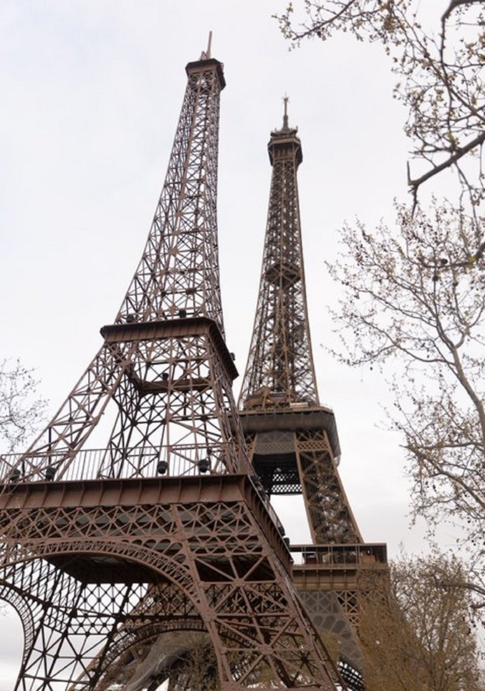 No estás viendo doble: esta es Eiffela, la hija de la torre Eiffel