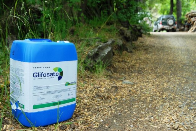 Glifosato 1024x685 Glifosato 1024x685