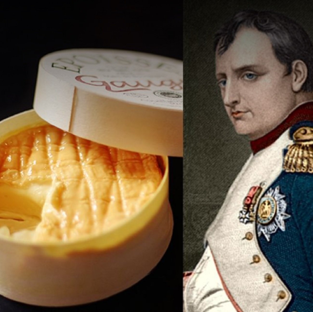 Este es el lujoso queso que devoraba Napoleón Bonaparte después de cada batalla