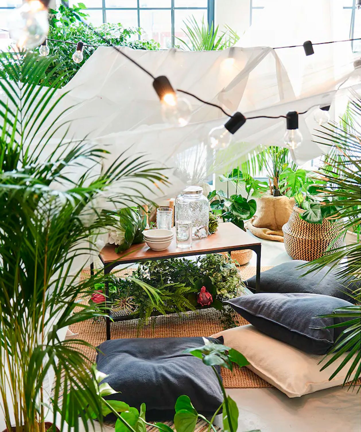 La NASA recomienda tener en casa la planta más vendida en Ikea