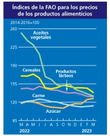 Cereals Cereals