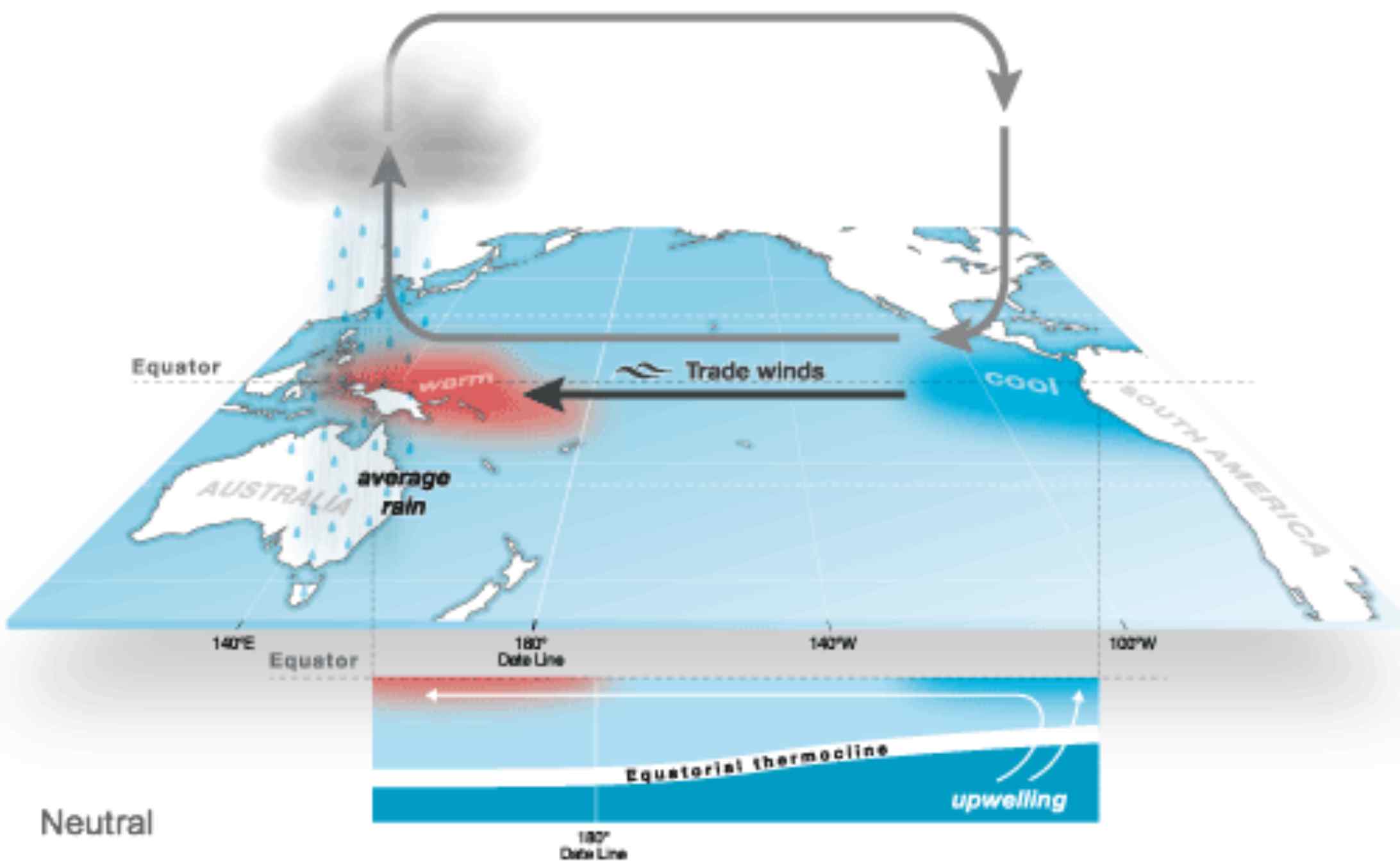 Així es mou l'aire i els corrents marins a la Circulació de Walker neutral. Es forma un sistema de baixes pressions a la superfície d'Indonèsia i un d'altes a Sud-amèrica / Bureau of Meteorology - Australia Governement