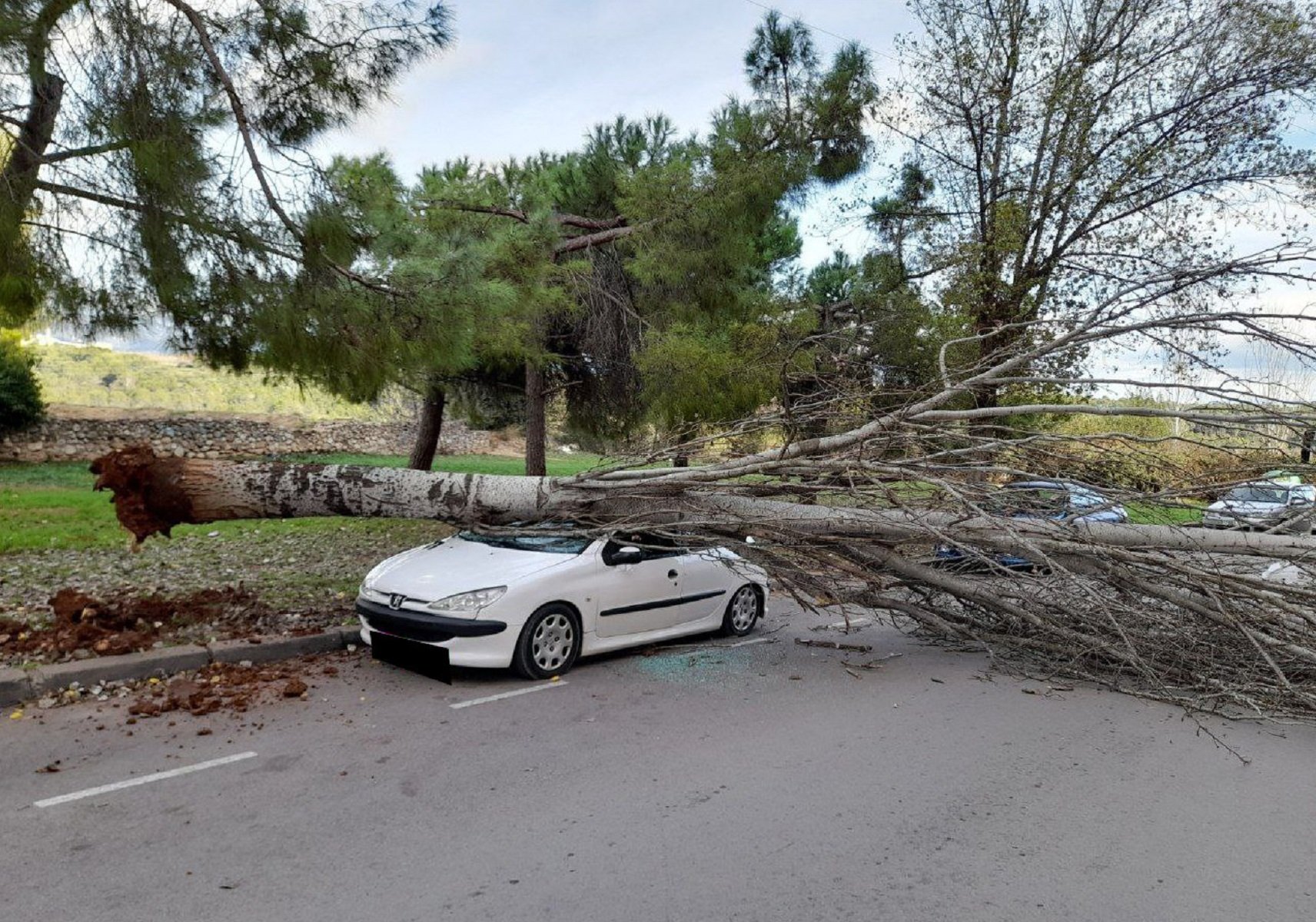 Avís vermell per temps violent en quatre comarques: s'esperen fortes ventades i pedra