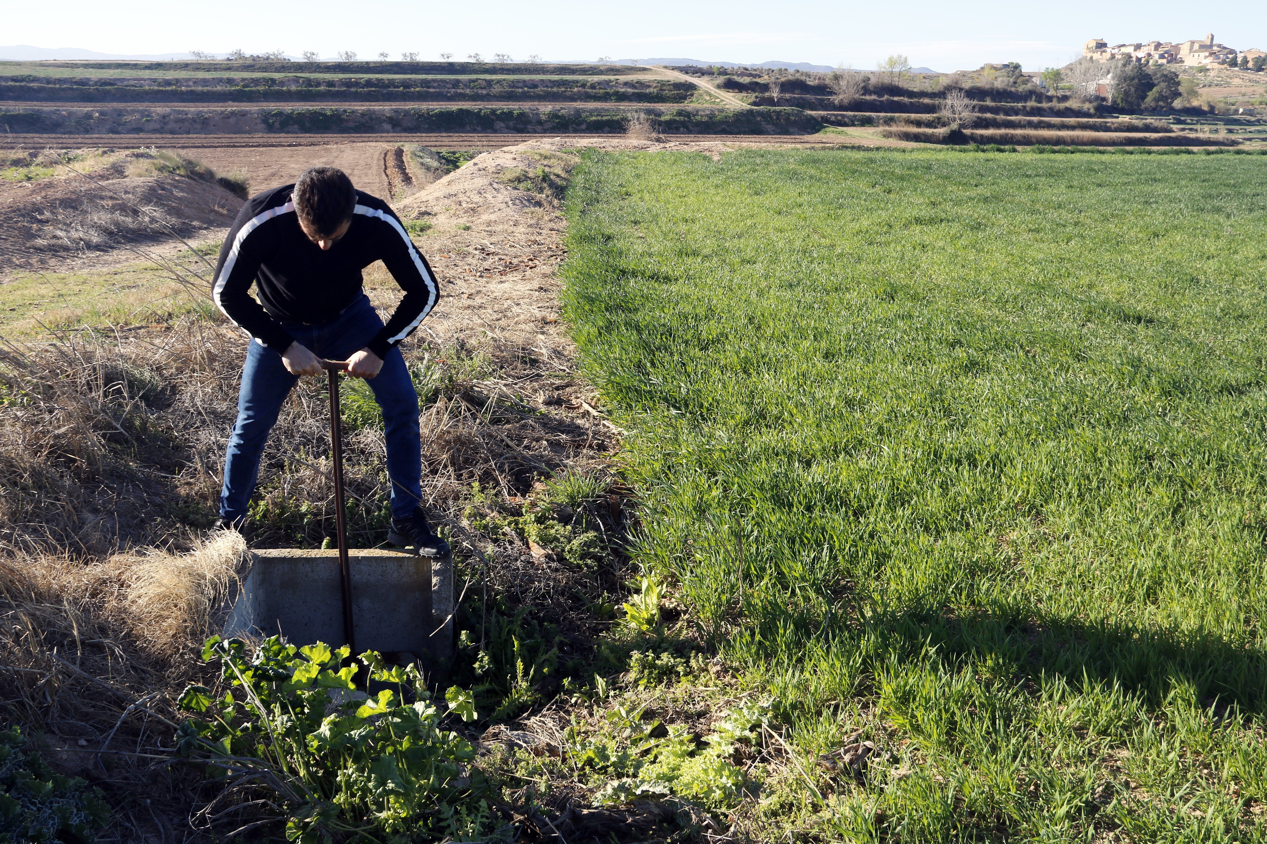 El Canal de Urgell pedirá la declaración de zona catastrófica por la situación de sequía