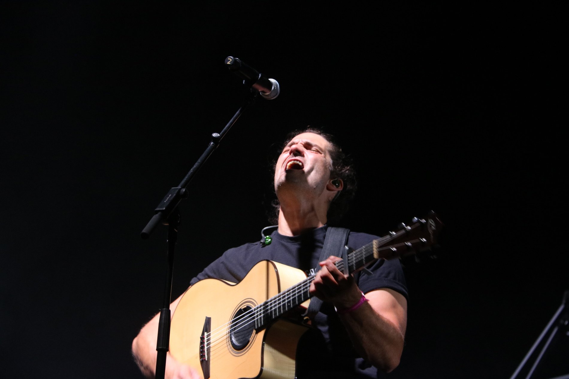 Triquell, Roba Estesa y Els Catarres, protagonistas de los conciertos del Sant Jordi Musical 2023