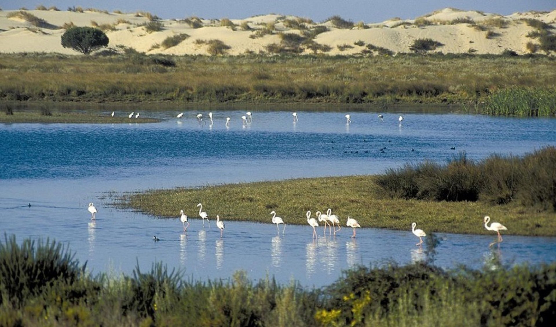 parque nacional de doñana / Europa Press