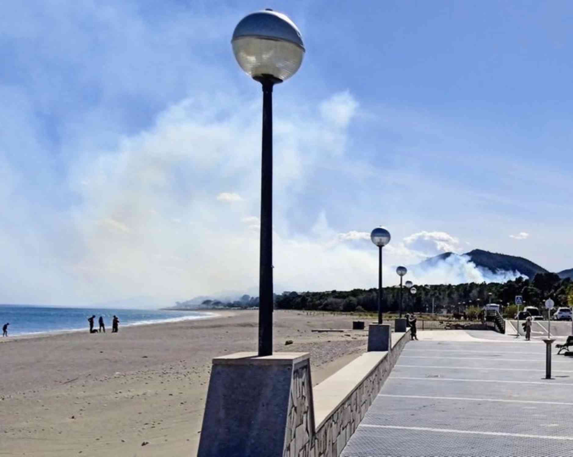 Incendio en Vandellòs: el fuego quema una zona forestal junto a la N-340 empujado por el viento