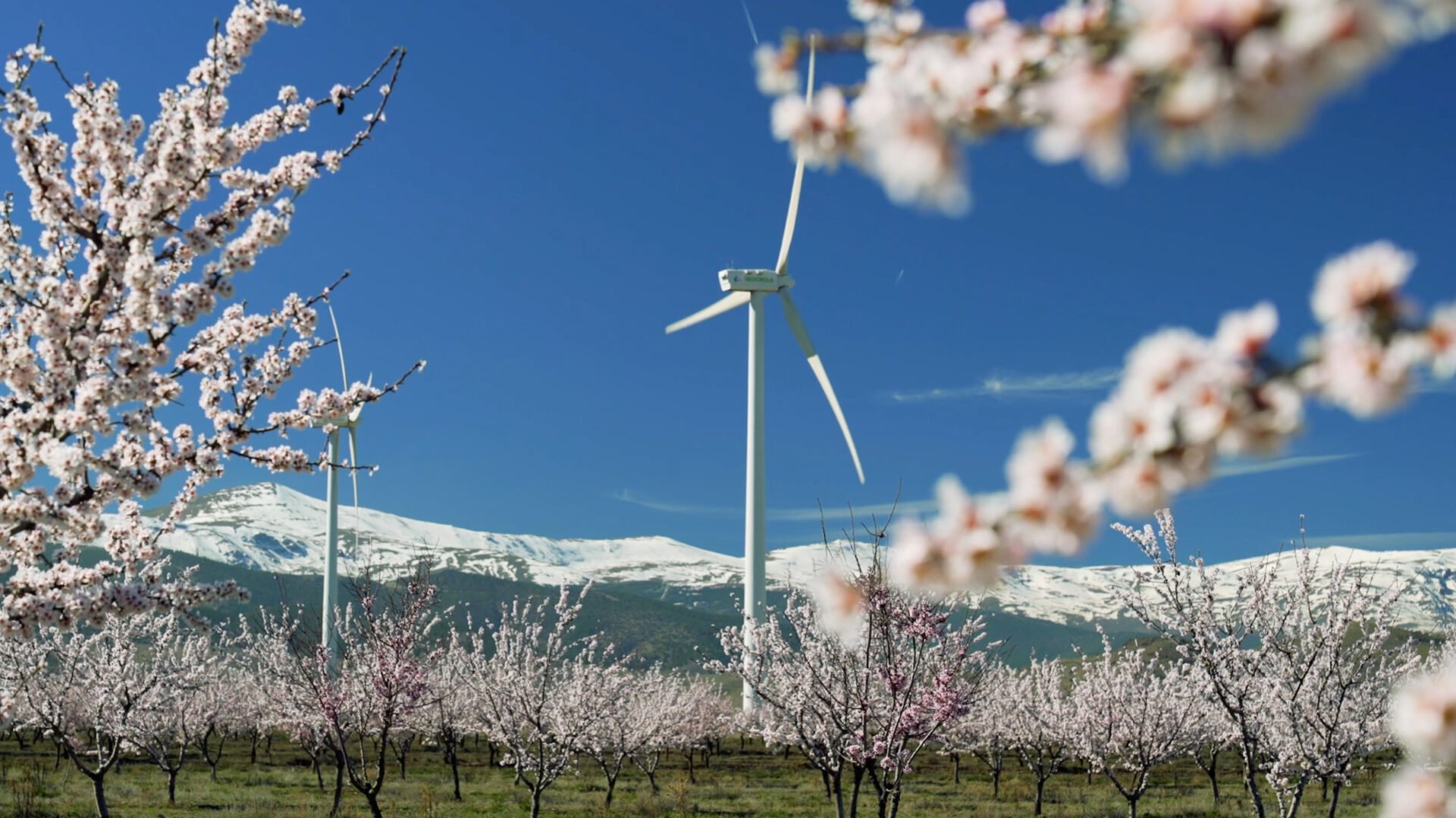 Iberdrola presenta el seu pla de descarbonització davant de les Nacions Unides