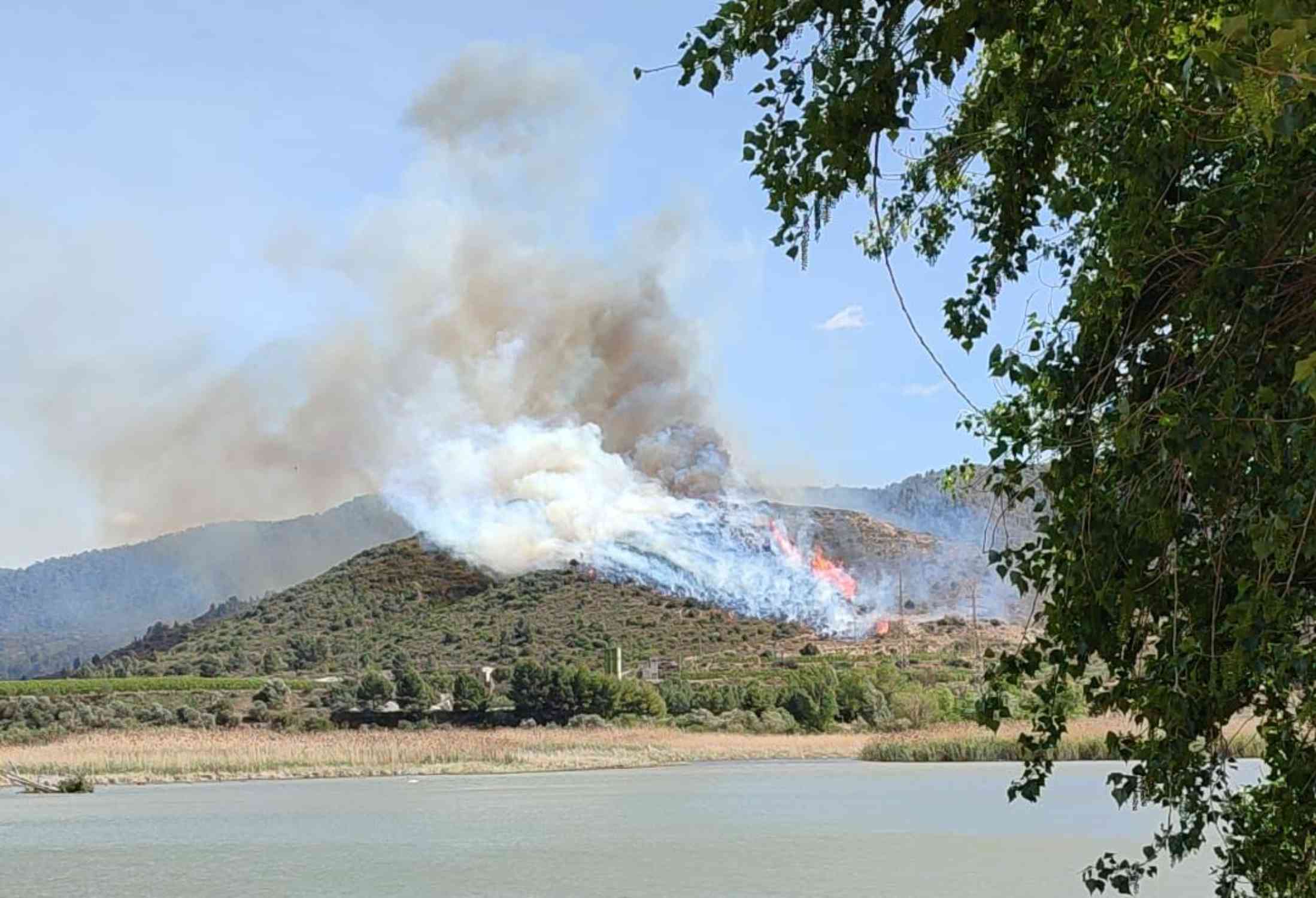 L'incendi de la Franja avança sense control i ja ha cremat 450 hectàrees empès pel vent