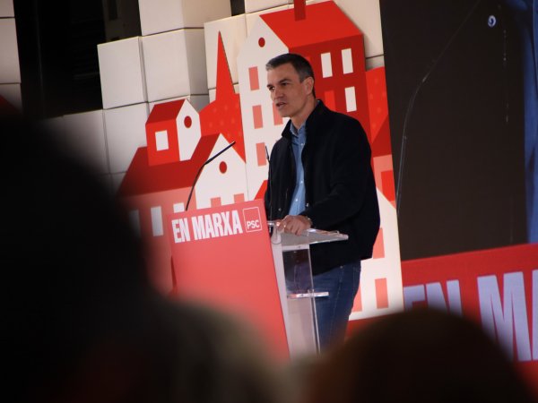 pedro sanchez pedro sanchez