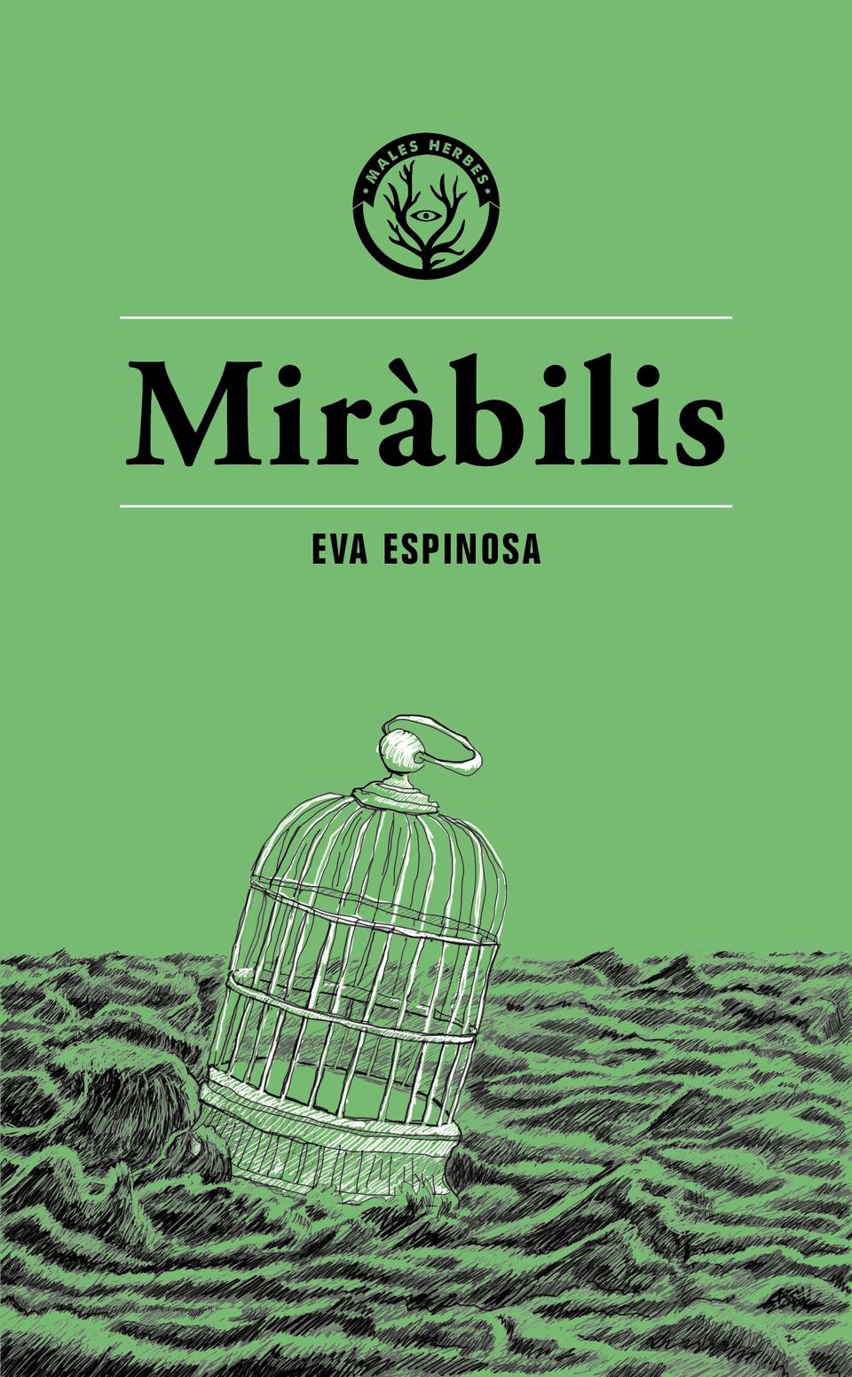 mirabilis llevada|traída