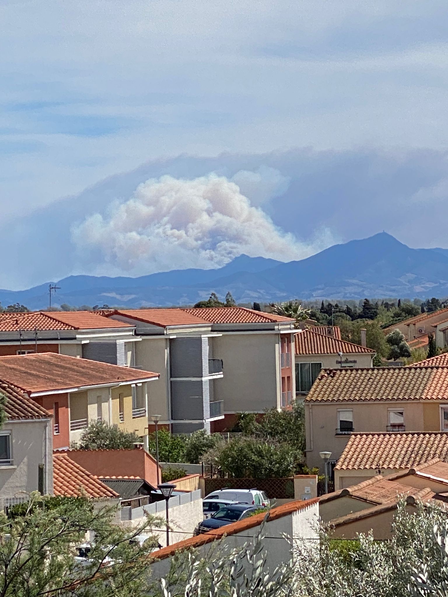 Creus que cal invertir més en lluita contra els incendis?