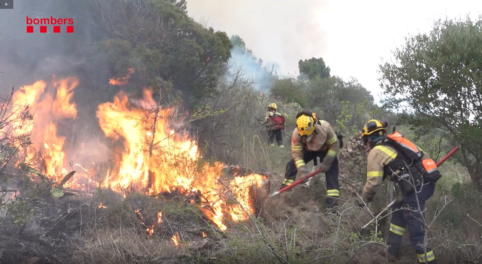 Primeras imágenes de los Bombers luchando contra el fuego en Portbou | VÍDEO