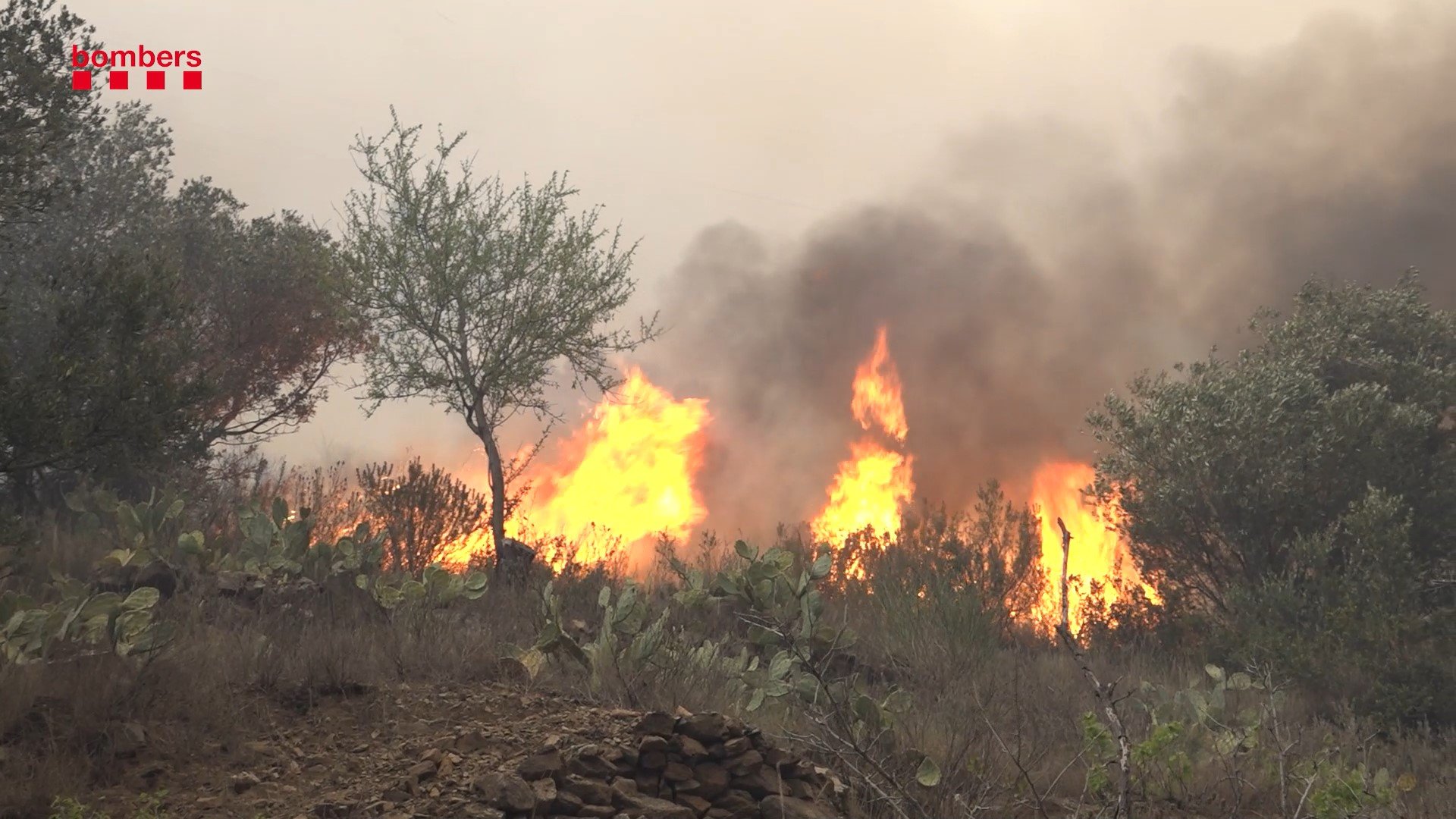 Tens imatges de l'incendi de Portbou? Envia-les al El Nacional.cat