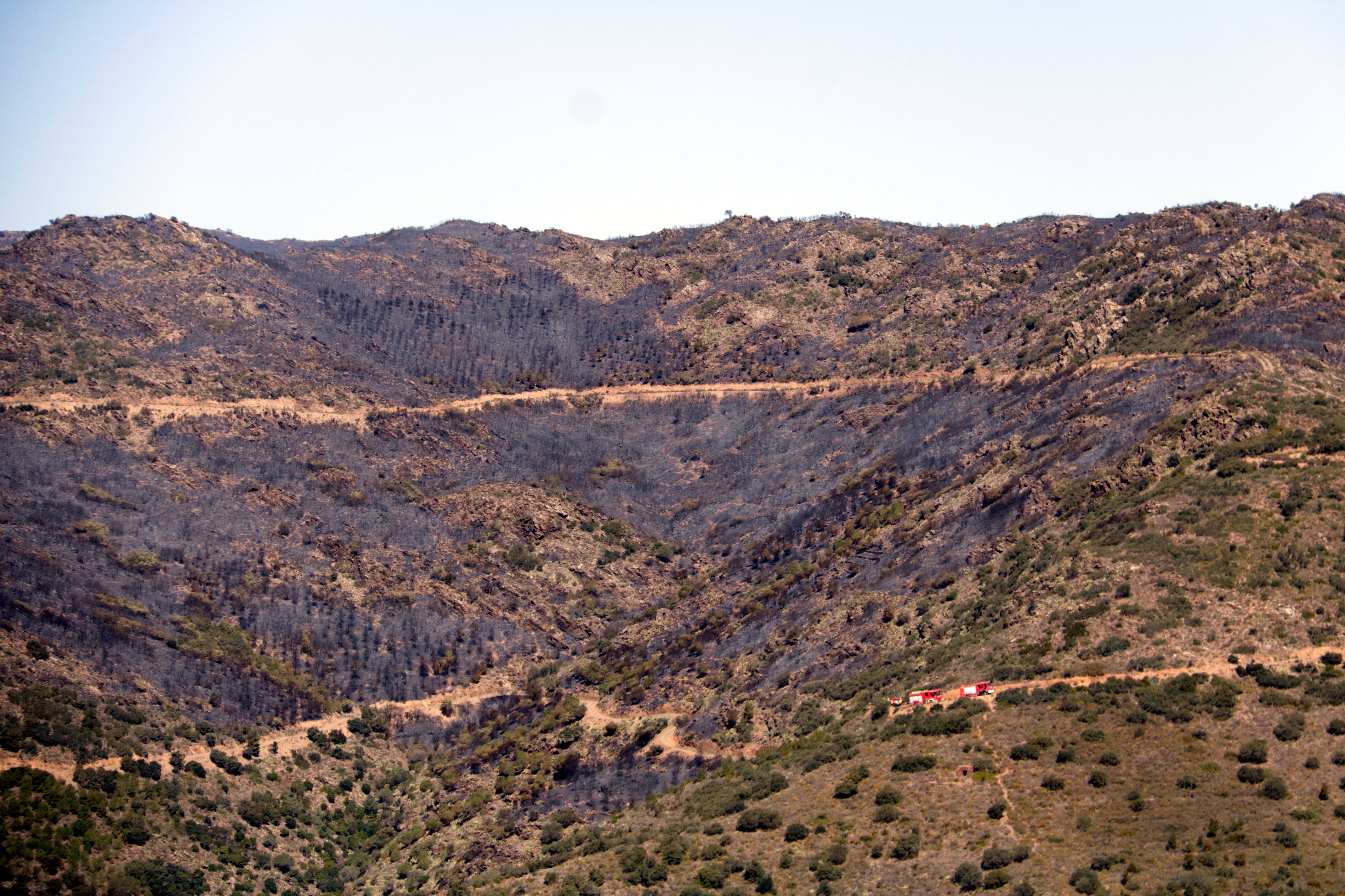 Controlat l'incendi de la Catalunya Nord després de cremar 1.000 hectàrees al Rosselló i l'Alt Empordà