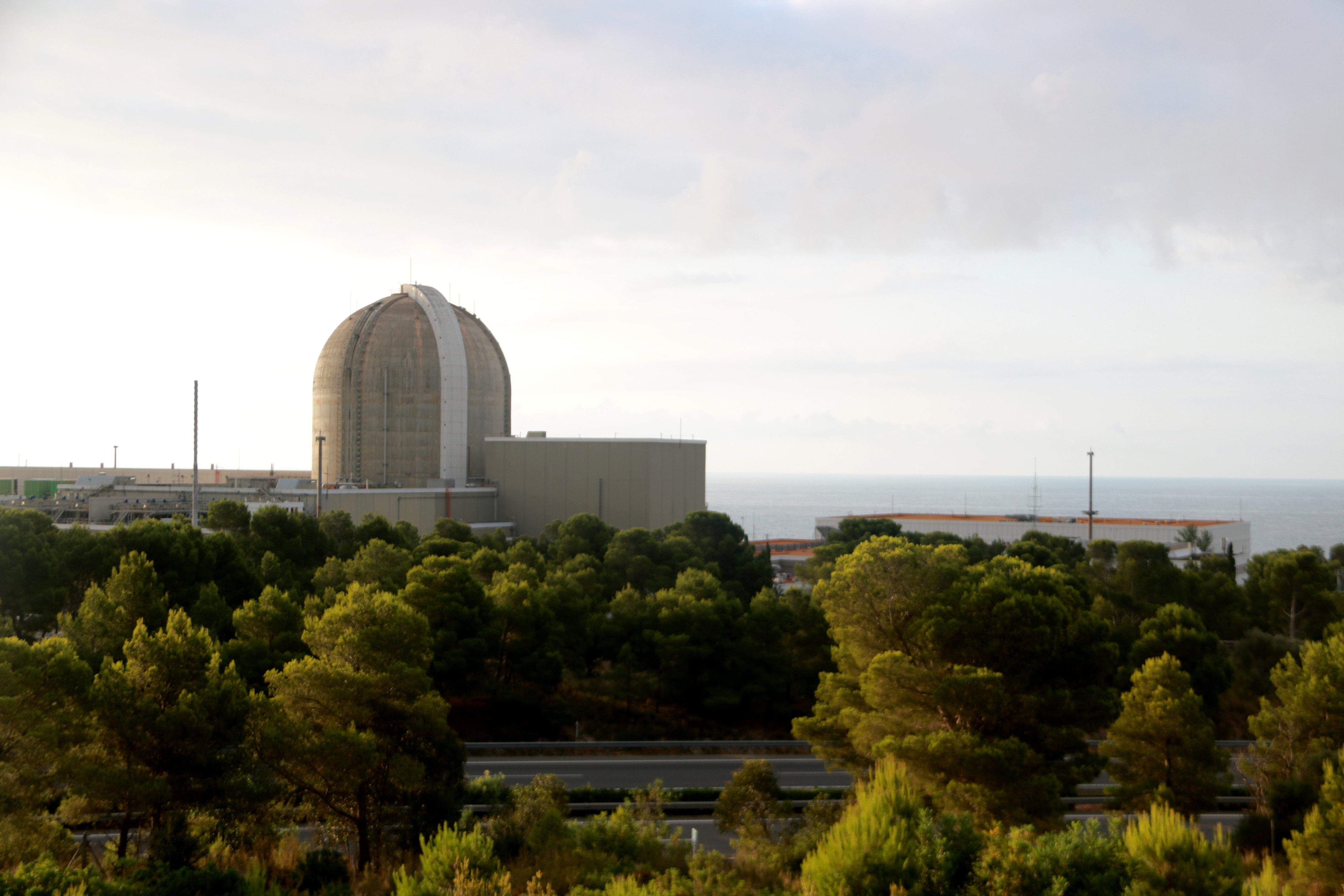 Greenpeace denuncia la Comissió Europea davant el TJUE per "fer un rentat verd" del gas i l'energia nuclear