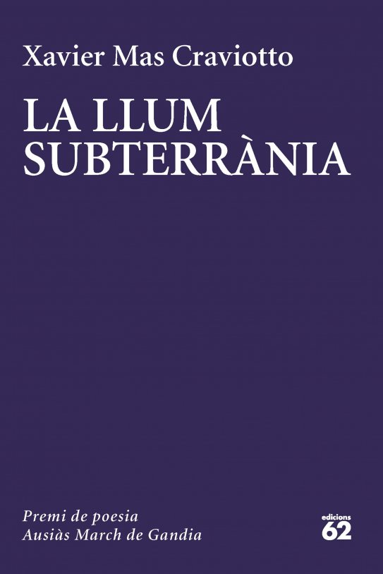 portada la luz subterrania xavier masía craviotto 202212011256 portada la luz subterrania xavier masía craviotto 202212011256