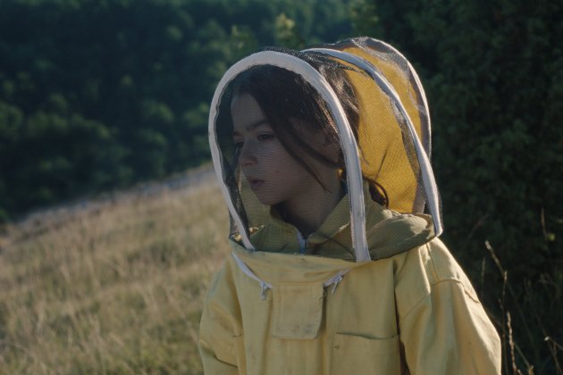 20.000 species of bees still 2 (1) 20.000 species of bees still 2 (1)