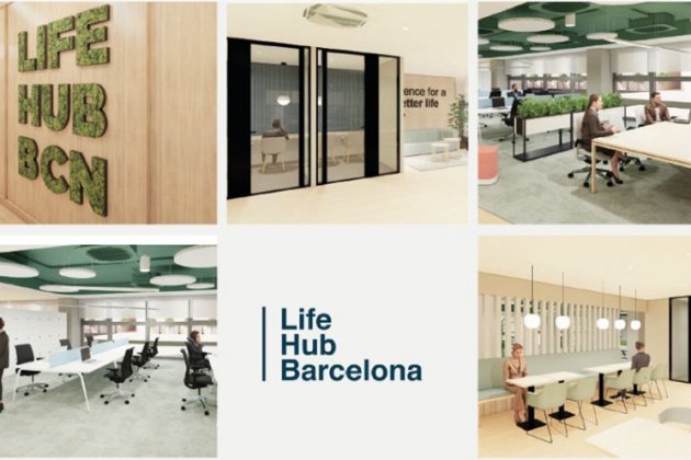life hub life hub