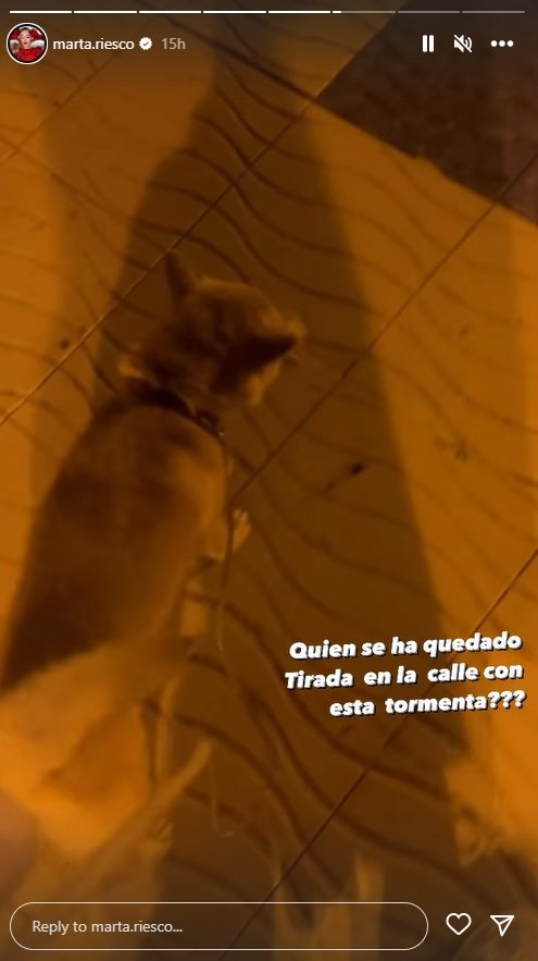 Marta Riesco y perro IG stories Marta Riesco y perro IG stories