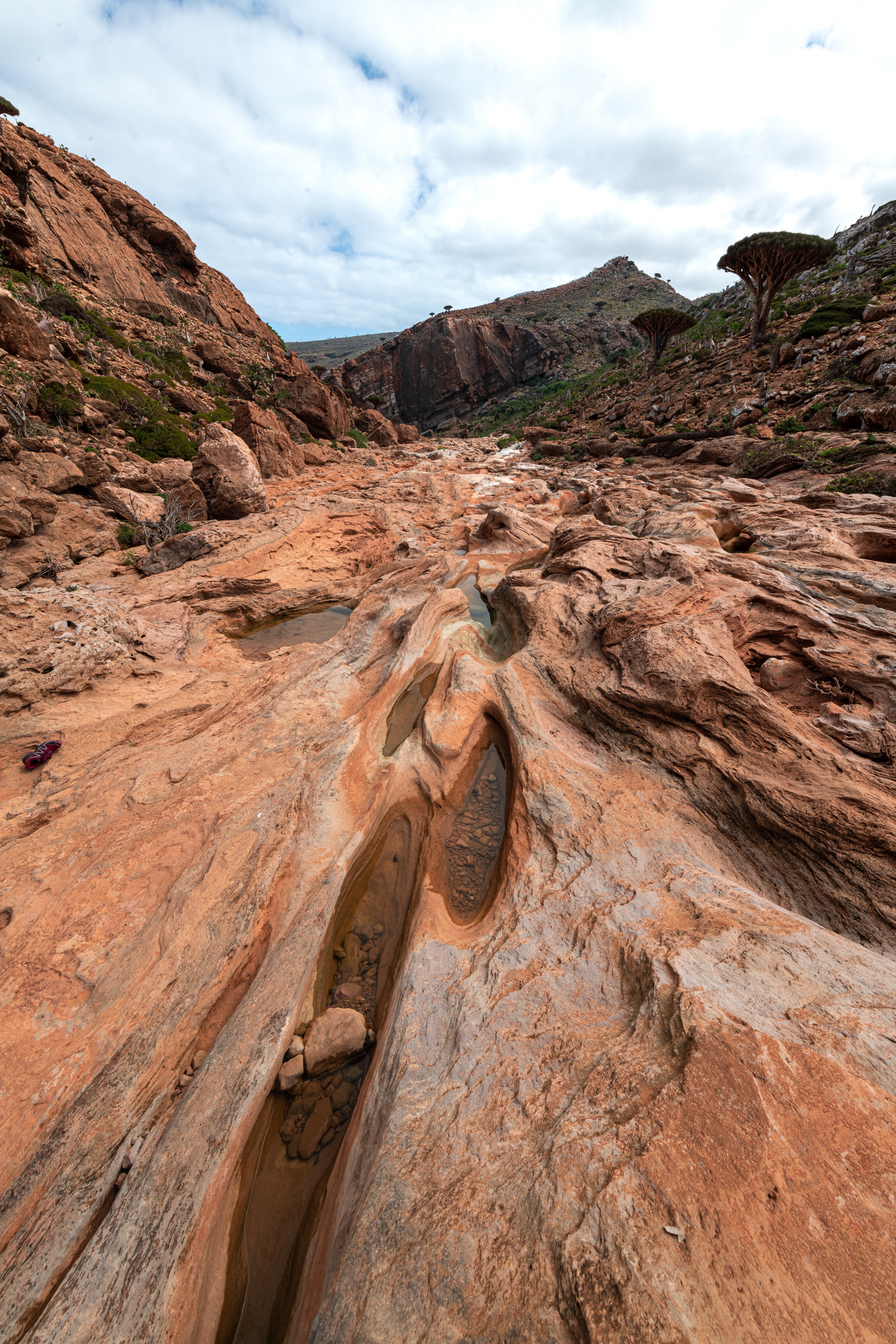 socotra unsplash socotra unsplash