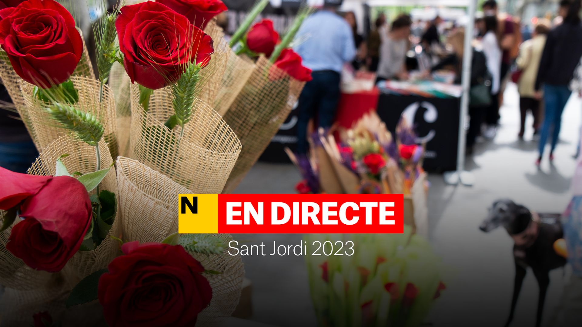 Sant Jordi 2023 | Llista dels llibres més venuts de la Diada