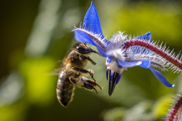 7cad13e2 c5d5 446d bc78 3d23e6eabd36 16 9 aspect ratio default 0 7cad13e2 c5d5 446d bc78 3d23e6eabd36 16 9 aspect ratio default 0