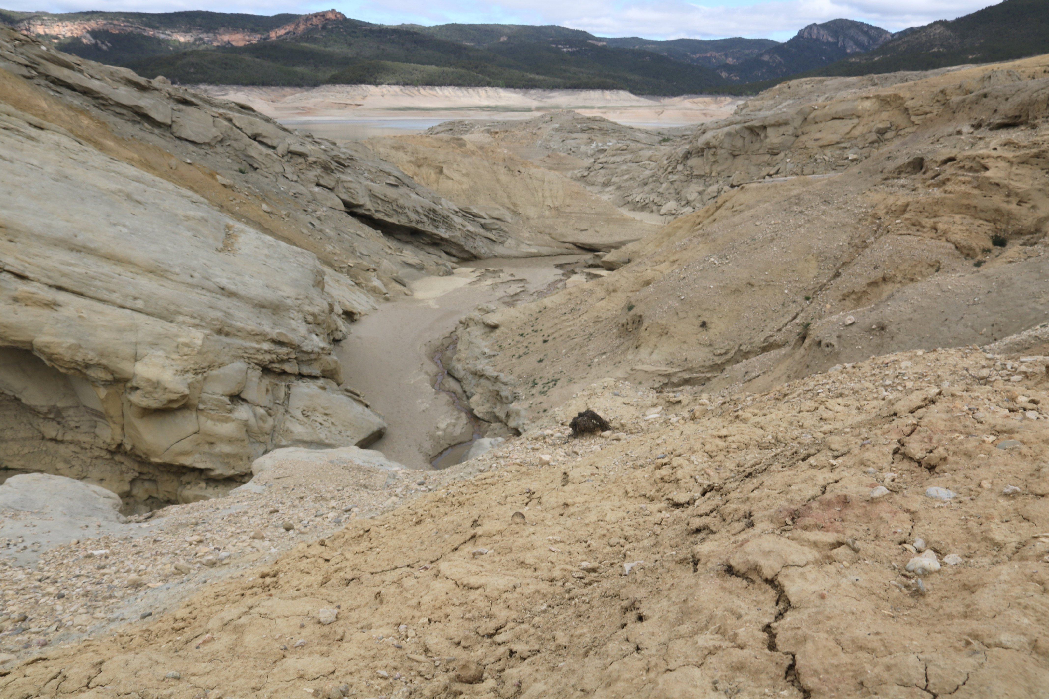 Alerta máxima: el nivel de agua en los embalses catalanes, por debajo del mínimo histórico