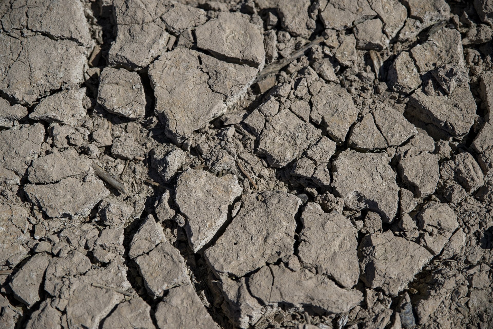 El cambio climático avanza: la temperatura mundial y el nivel del mar baten nuevos récords