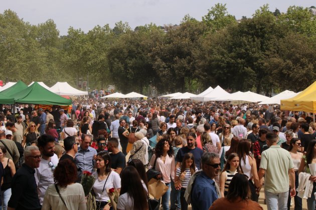 diada sant jordi girona / ACN diada sant jordi girona / ACN