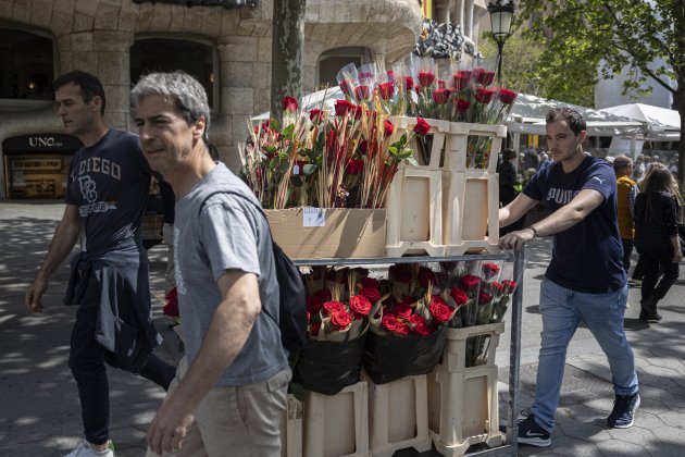 Sant Jordi 2023 rosas libros autores ambiente Barcelona (34)