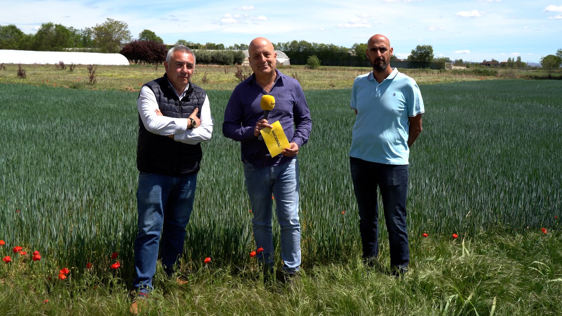 The irrigators of Catalonia's Canal d'Urgell, left without water: "Without help, we won't make it"