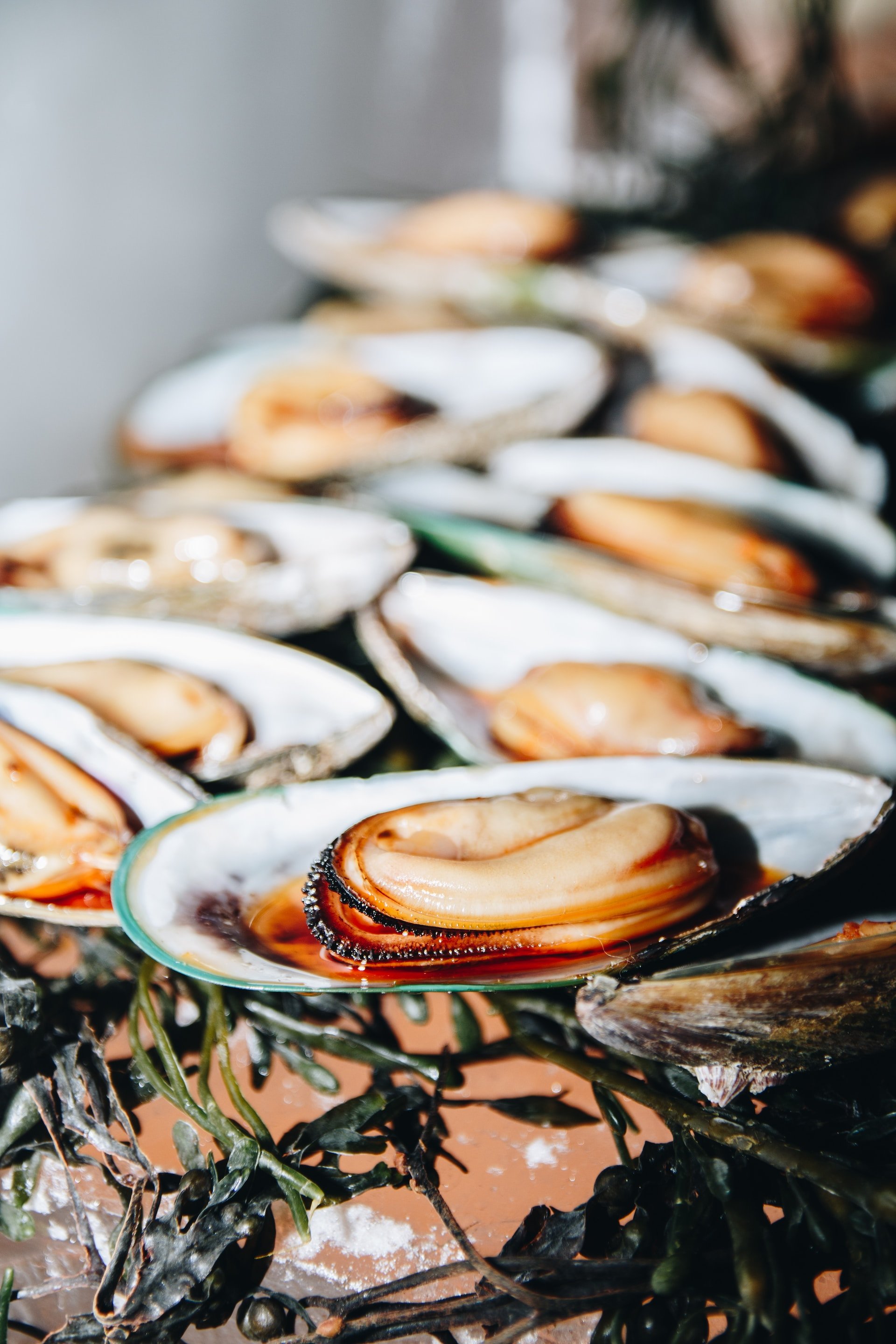 6 curiosidades sobre los mejillones que los convertirán en tu marisco favorito