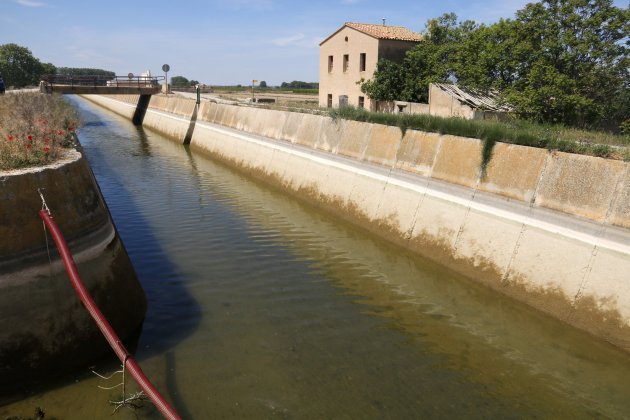 canal d'urgell tancament / ACN canal d'urgell tancament / ACN