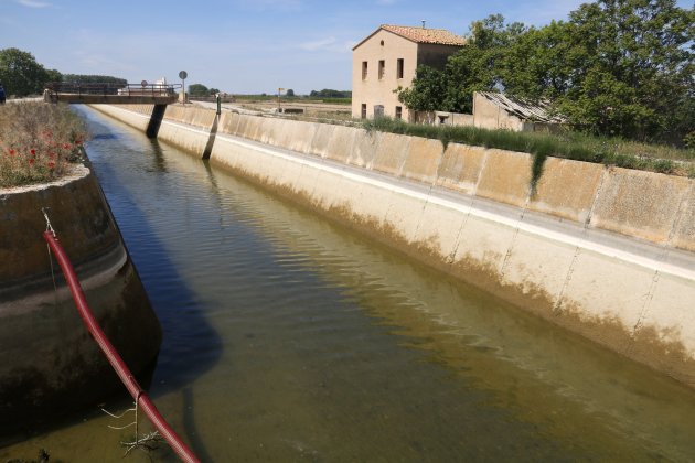 canal de urgell cierre / ACN