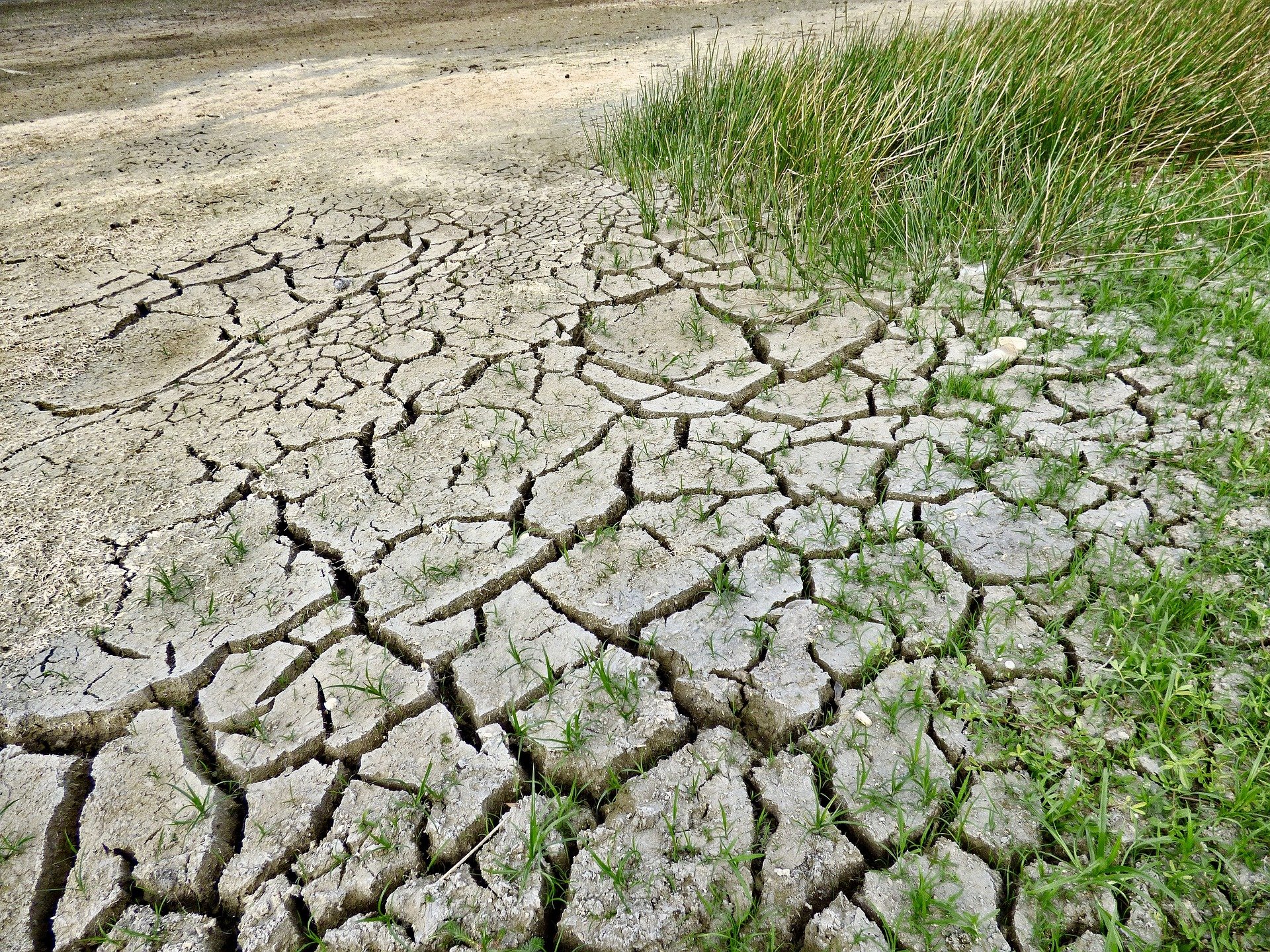 Alerta de la ONU: hacen falta medidas drásticas para hacer frente al fenómeno de El Niño