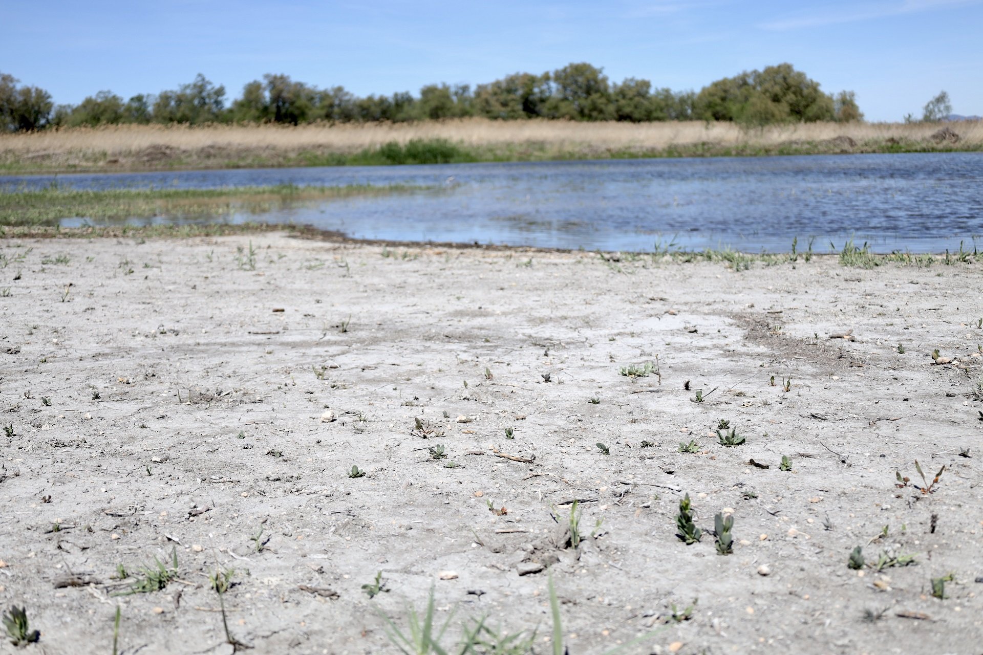 Alerta de la OCDE a España por la "dramática escasez" de agua que sufrirá