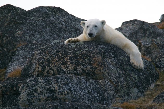 svalbard 2 unsplash svalbard 2 unsplash