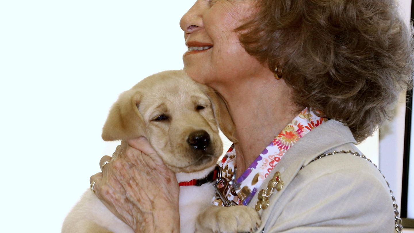 Sofía Golden Sofía Golden