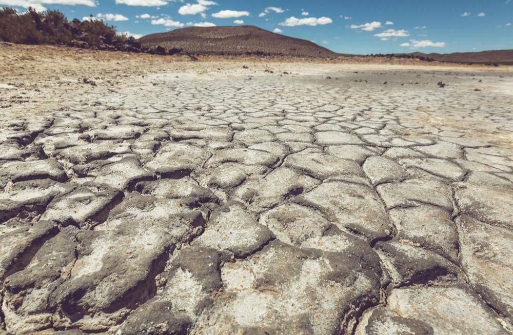 Los regantes del Canal Segarra-Garrigues de Lleida cierran el suministro de agua hasta el martes por la sequía