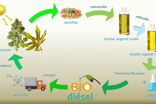 biodiesel biodiesel