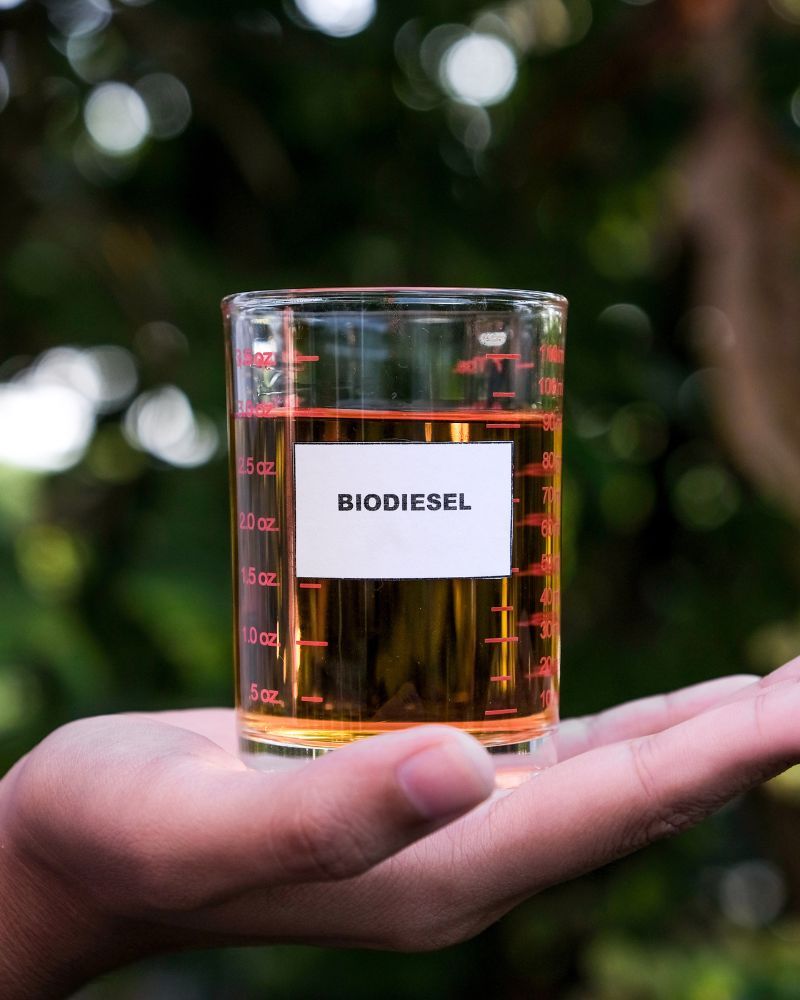 Hasta Toyota bendice los biocombustibles