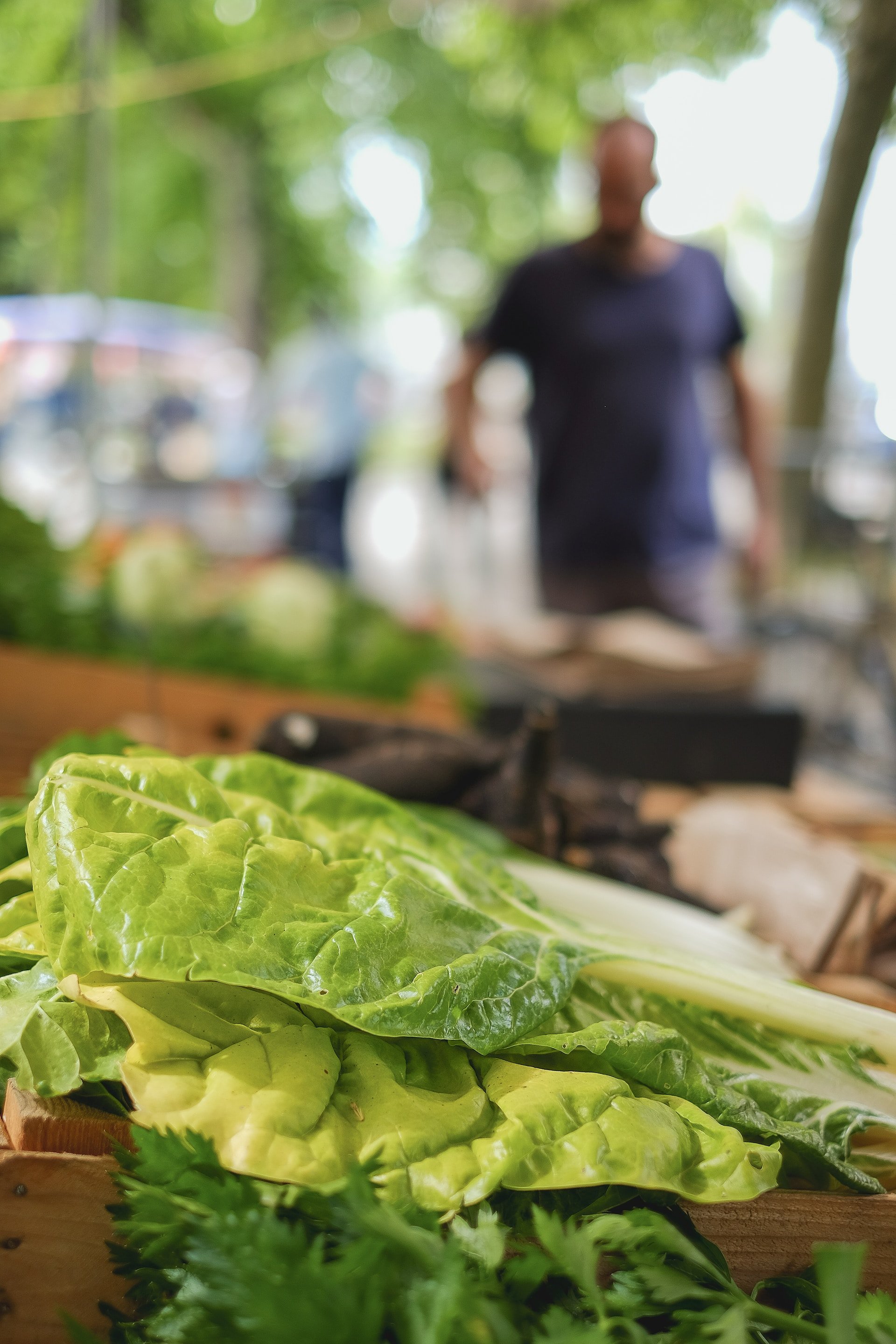 Acelgas: un alimento completo para tu salud