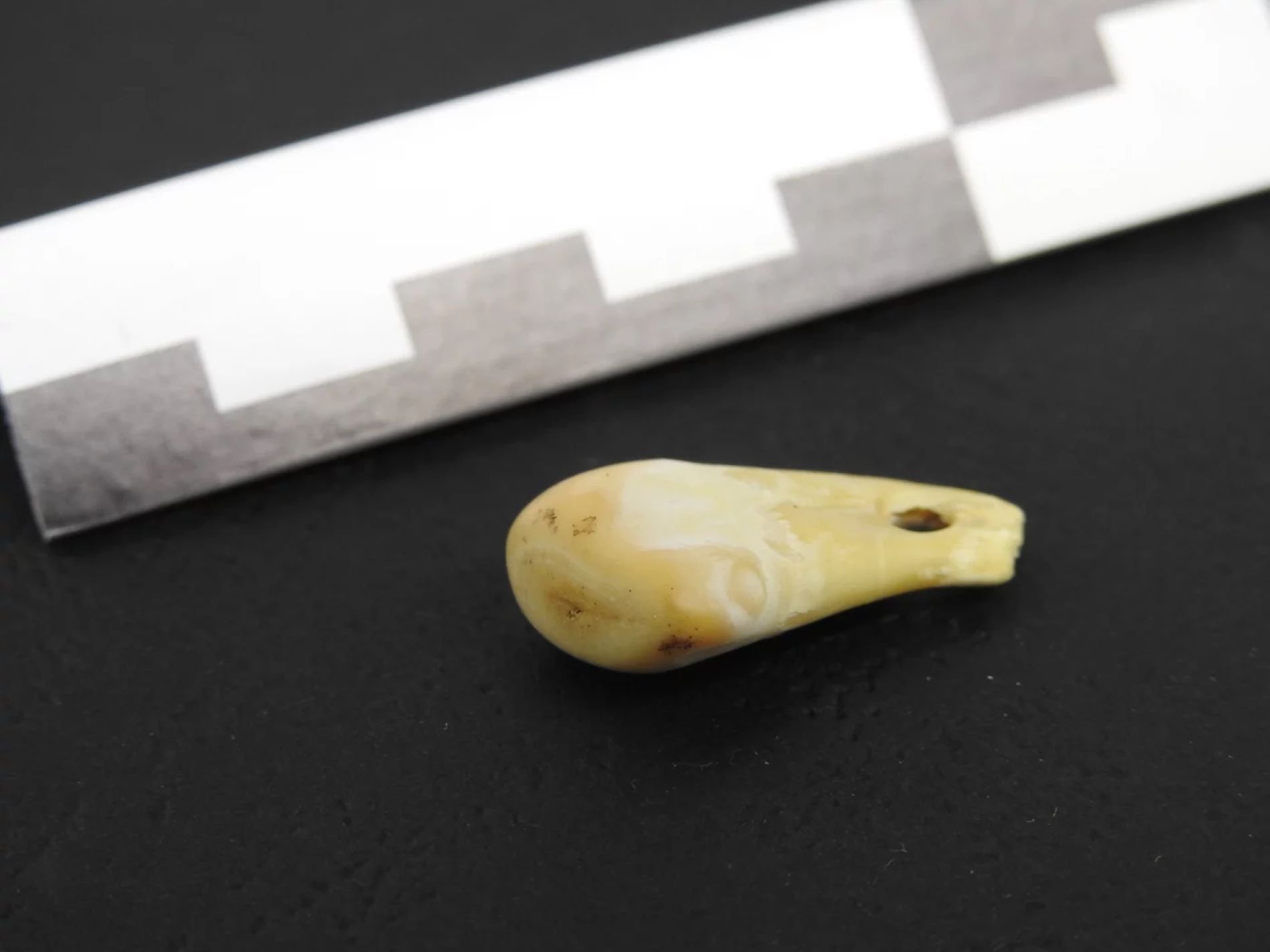 Recuperado el ADN de una mujer en un collar de hace 20.000 años: nueva técnica revolucionaria