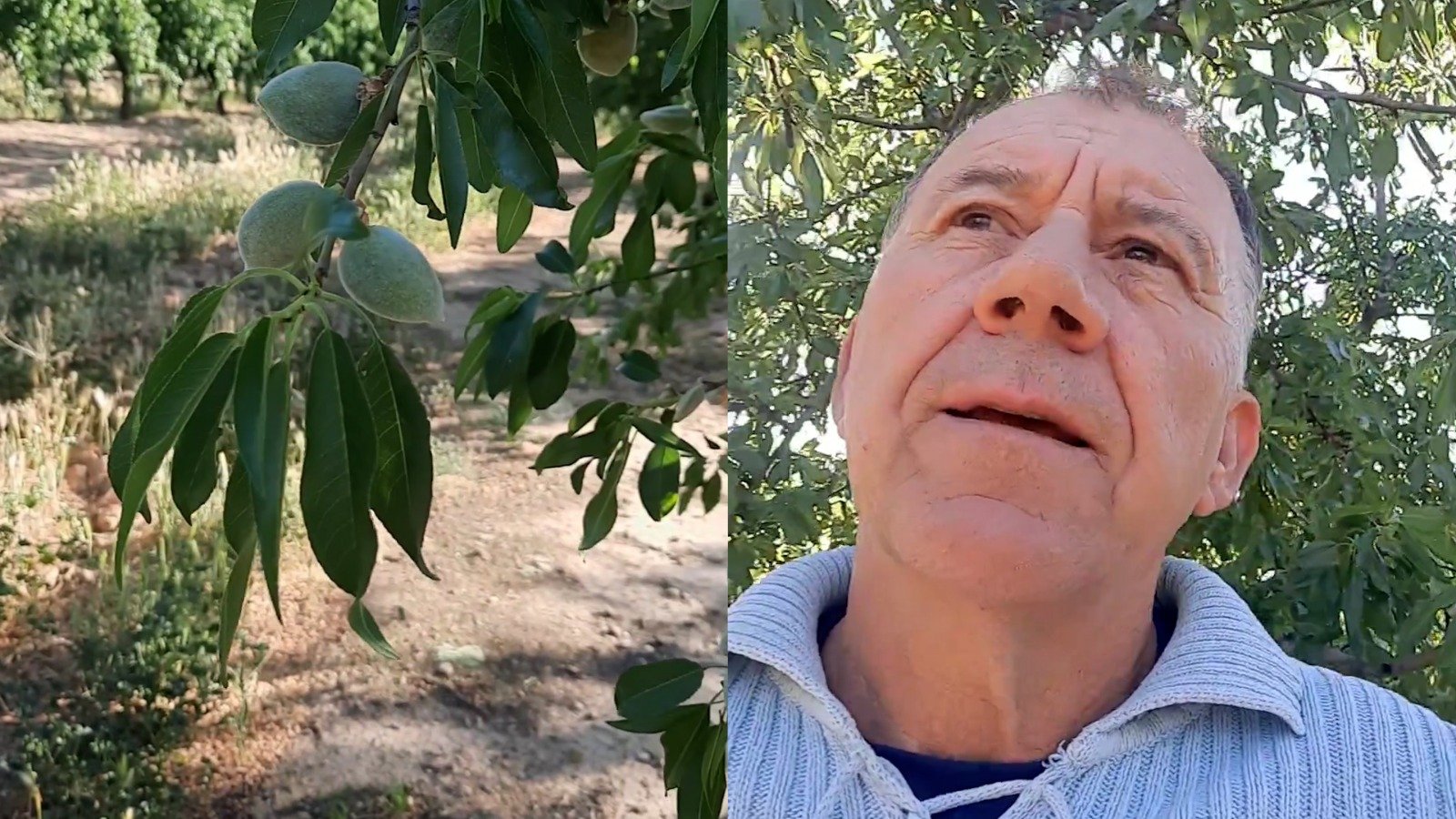 Joan Escolà, regant del Canal Segarra Garrigues Foto Instagram