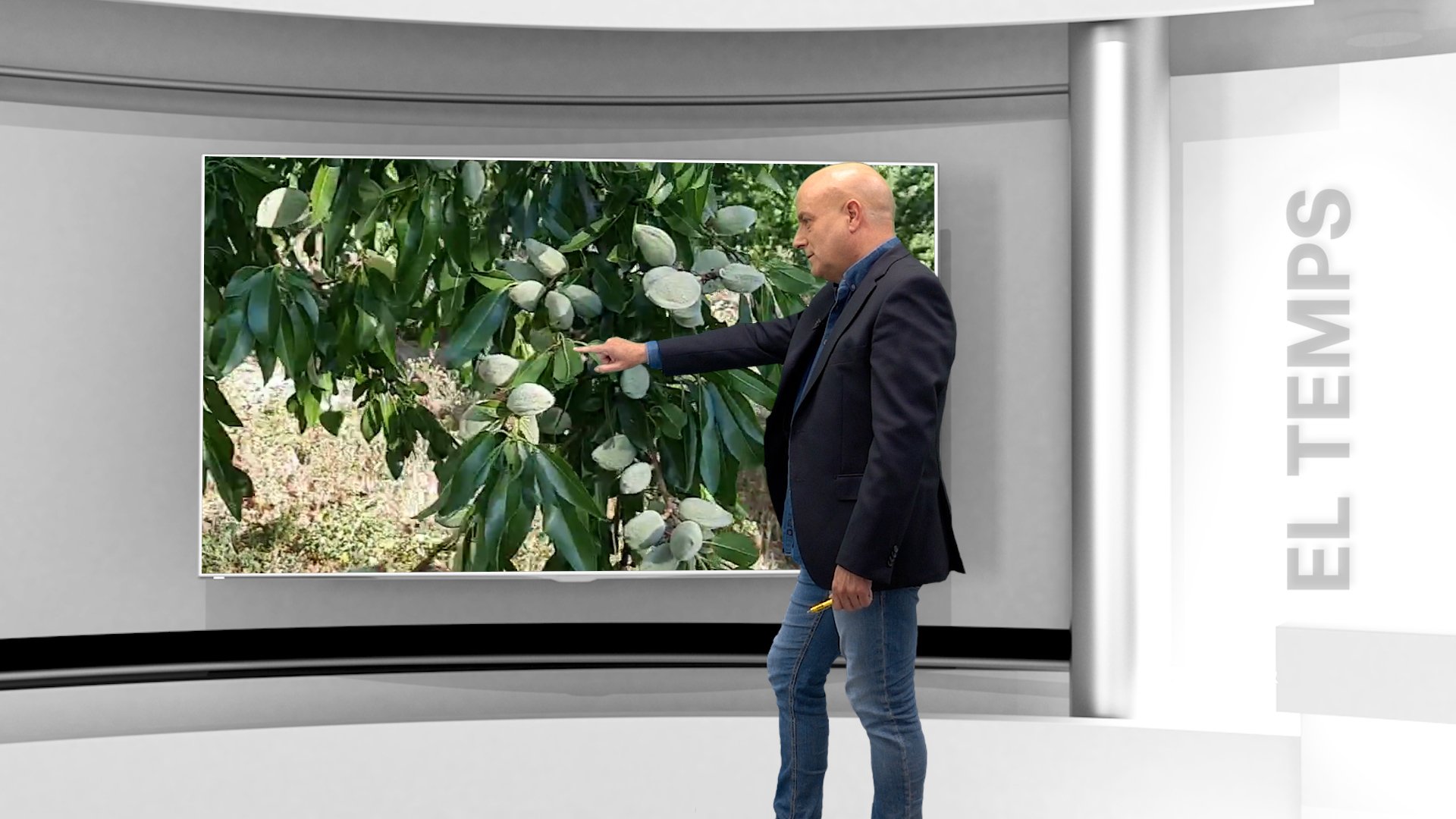 Plourà a Catalunya? Els pagesos, desesperats: "El Govern ens ha abandonat"